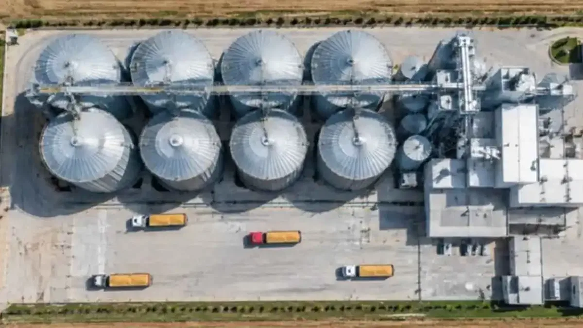 Satışlar öne çekildi, TMO hububat arzına başladı!