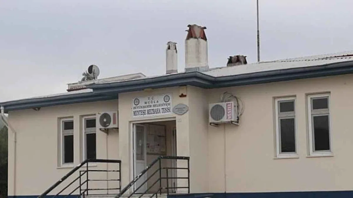 Büyükşehir Modern Mezbahaları ile Güvenilir Hizmet Veriyor
