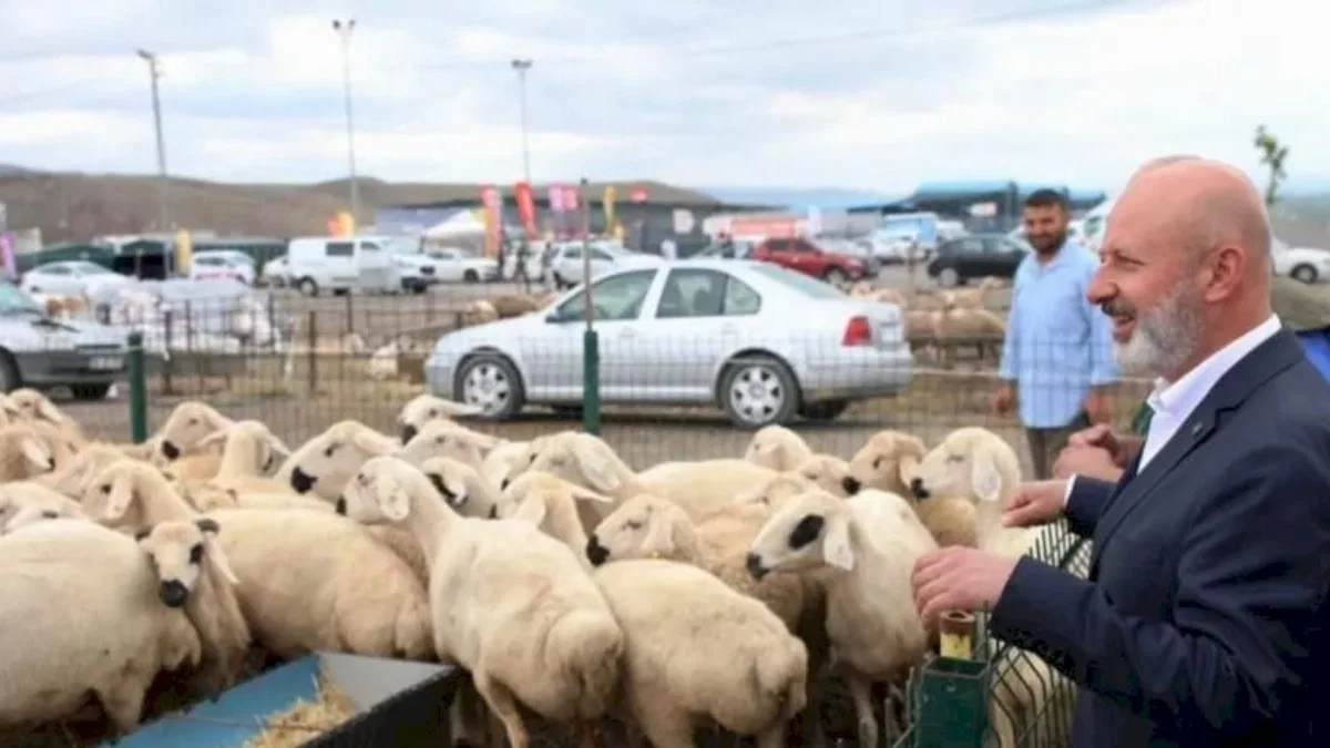 Kayseri Kocasinan'dan Türkiye'ye örnek 'kurban' ihalesi