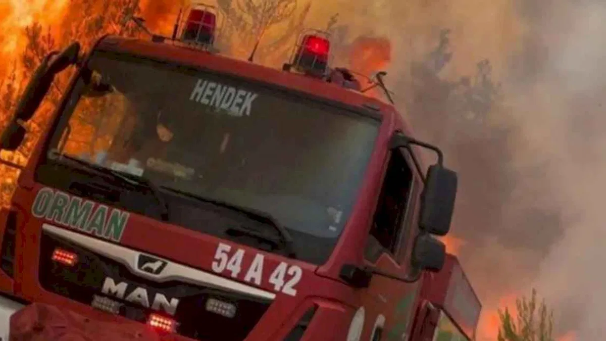 Orman'dan çağrı: 'Ormanın Kahramanları’na yol verin