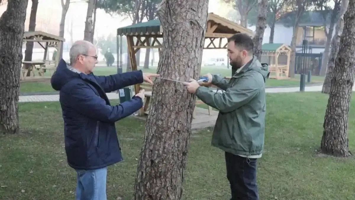 BTÜ’de orman envanterine katkı sağlayacak proje geliştiriliyor