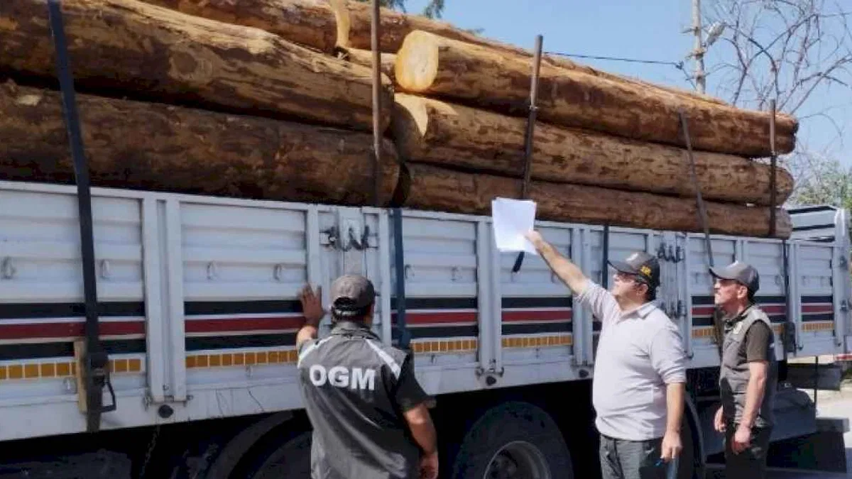 Mobil orman kontrol noktaları denetimde