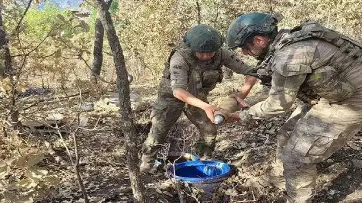 Şırnak'ta 5 terörist etkisiz