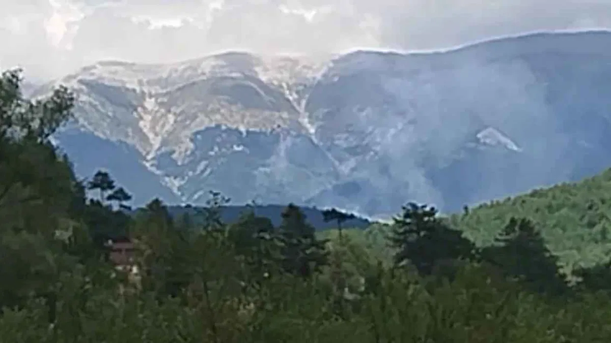 Keles'te orman yangını