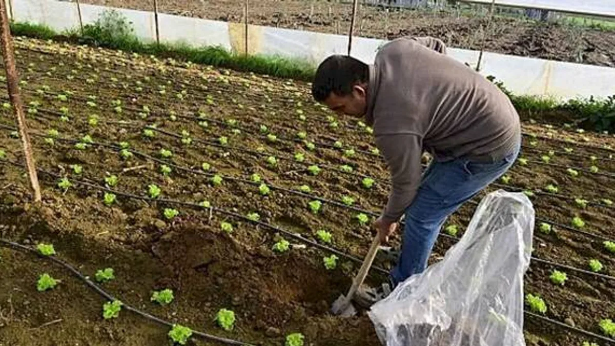 Hümik Asit Uygulamasıyla Verimli Topraklar, Sağlıklı Ürünler