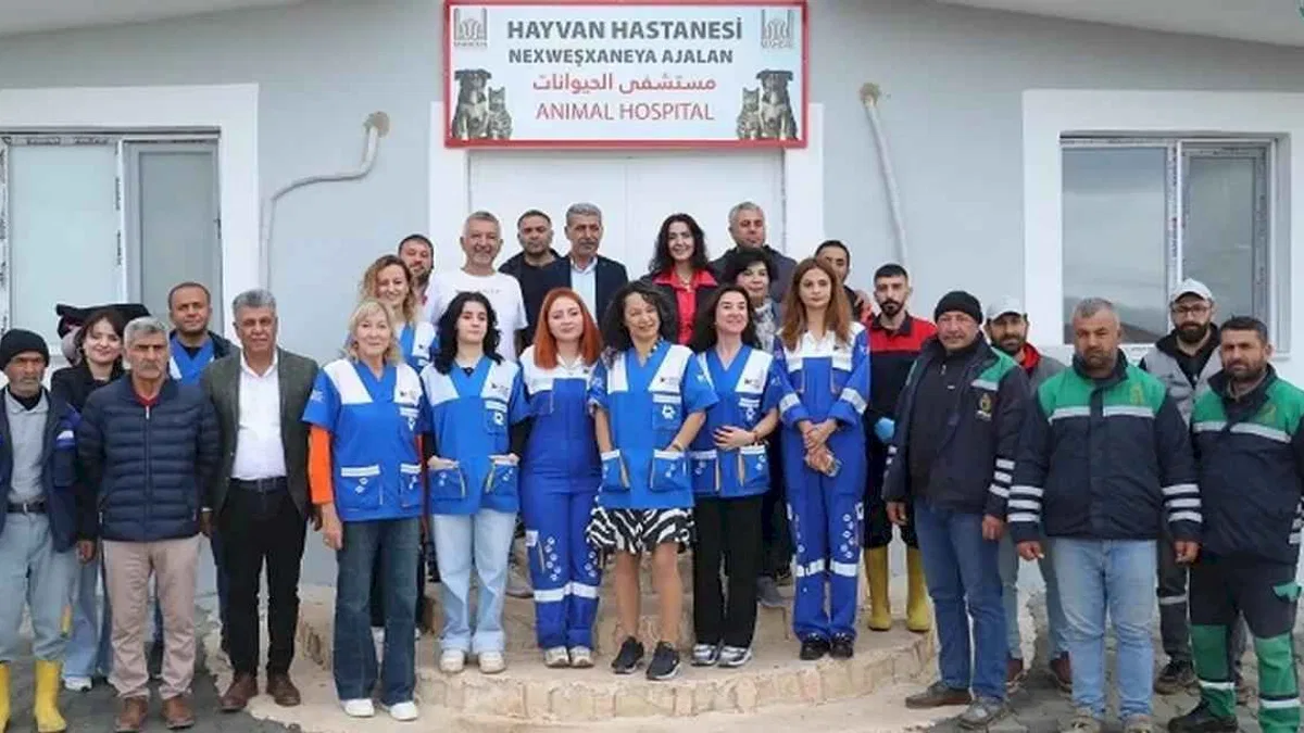 Mardin'in çöpçü eşekleri tarihe karışıyor