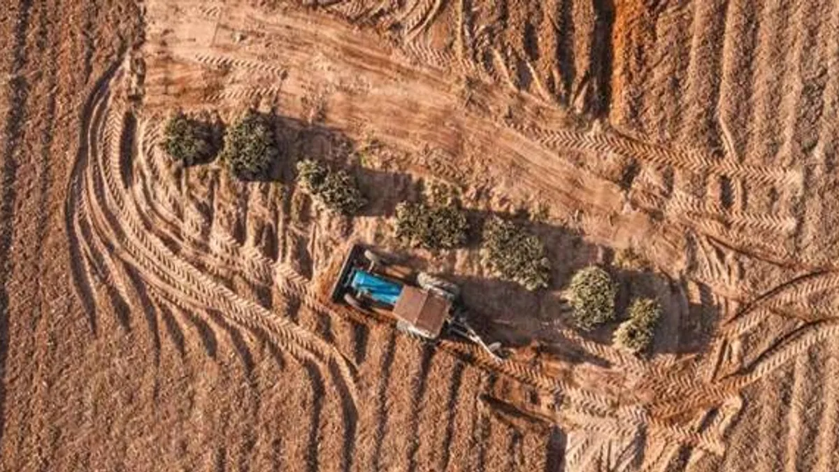Manisa'da toprak sağlığına uluslararası proje