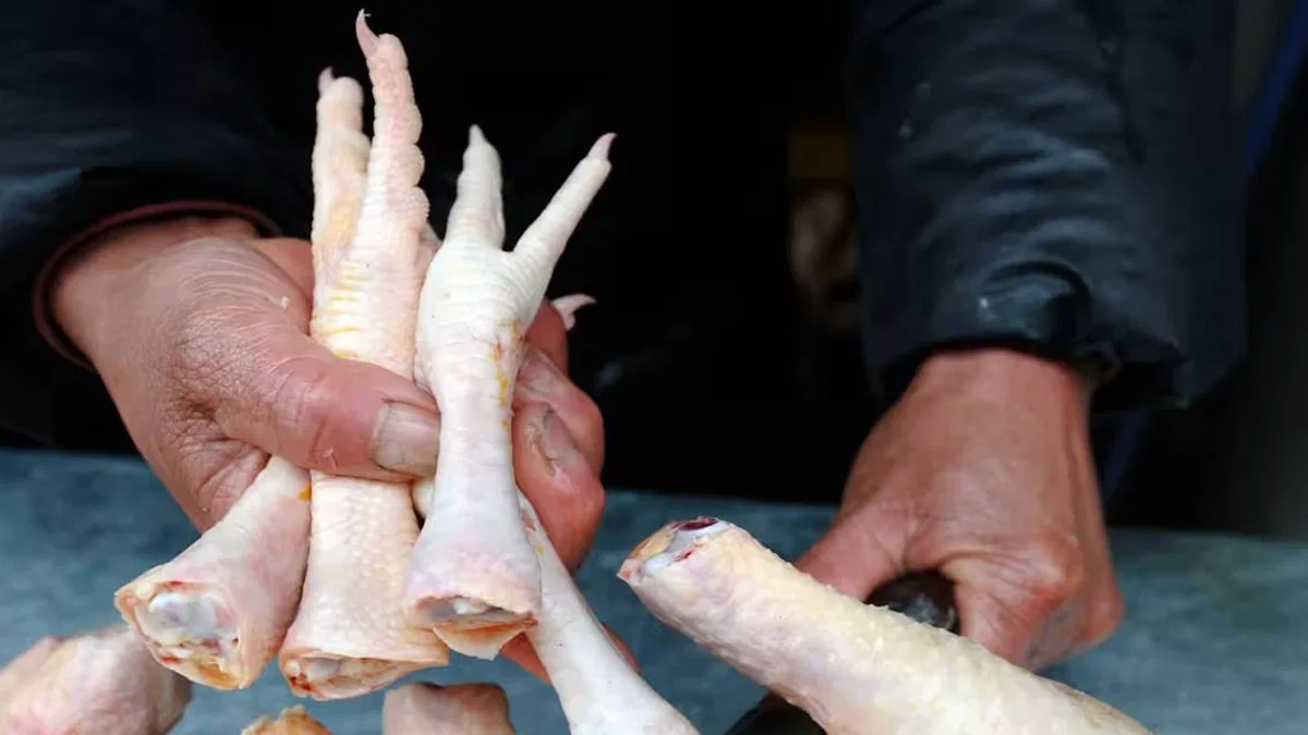 Kanatlı sektörü, Çin’e tavuk ayağı iznini bekliyor