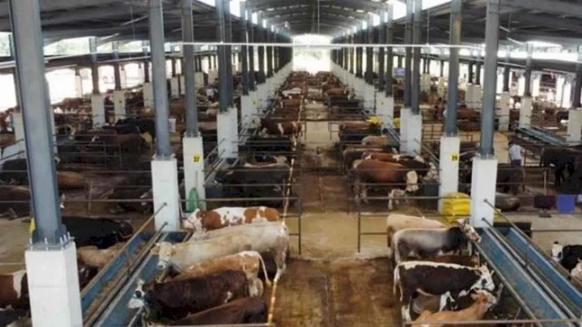 İnegöl Hayvan Pazarı 27 Mayıs'ta kapılarını açıyor