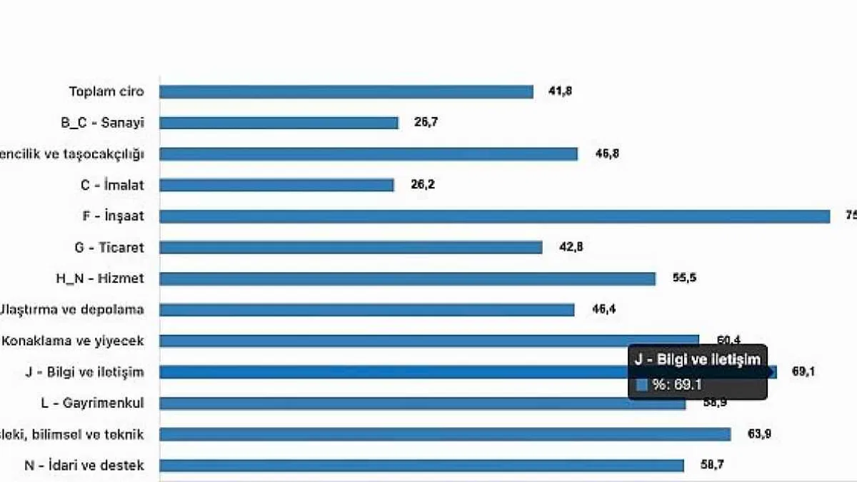 Tüik: Toplam ciro yıllık %41,8 arttı