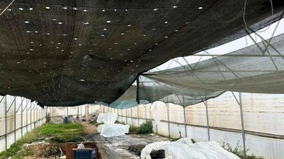 Manisa'da üreticiye sera naylon desteği