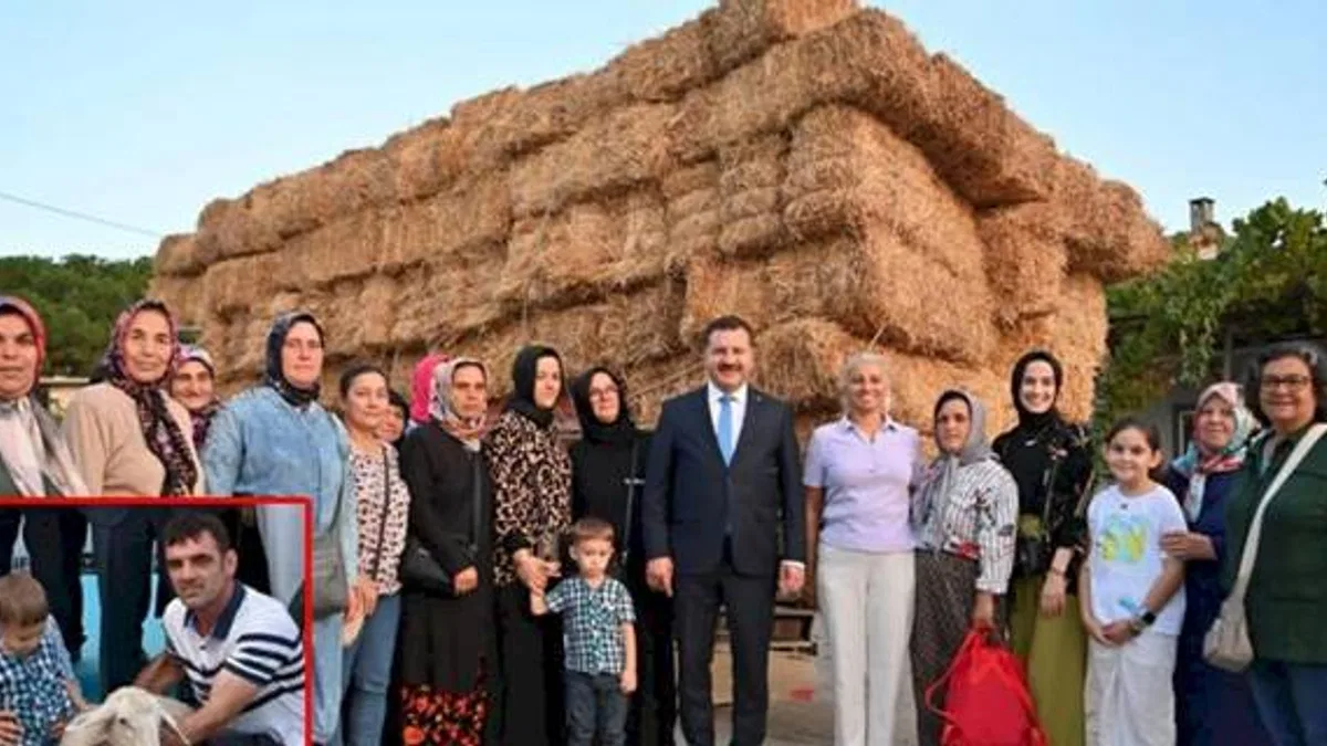 Tarladaki atıklar kuzuya dönüşüyor