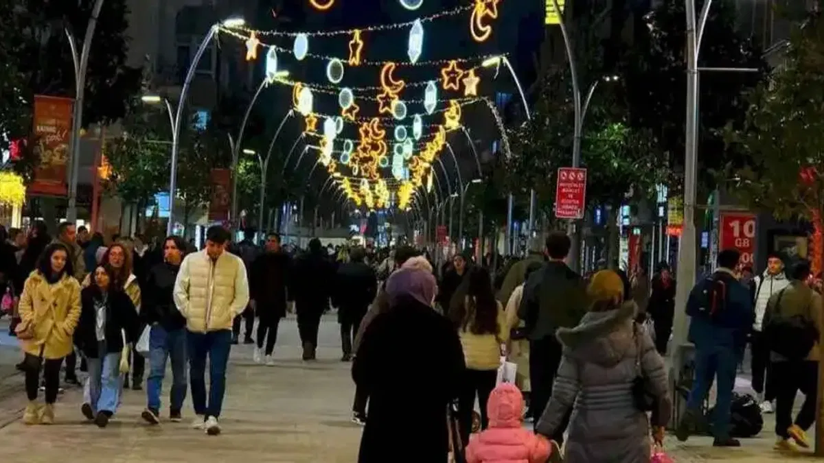 Sakarya'da  Çark Caddesi süslendi