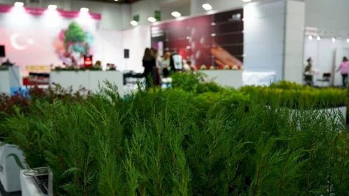 Türkiye, dünya süs bitkileri pazarında söz sahibi oluyor!