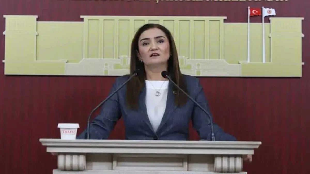 CHP Grup Başkanvekili Kılıç’tan 'silahsızlanma' vurgusu