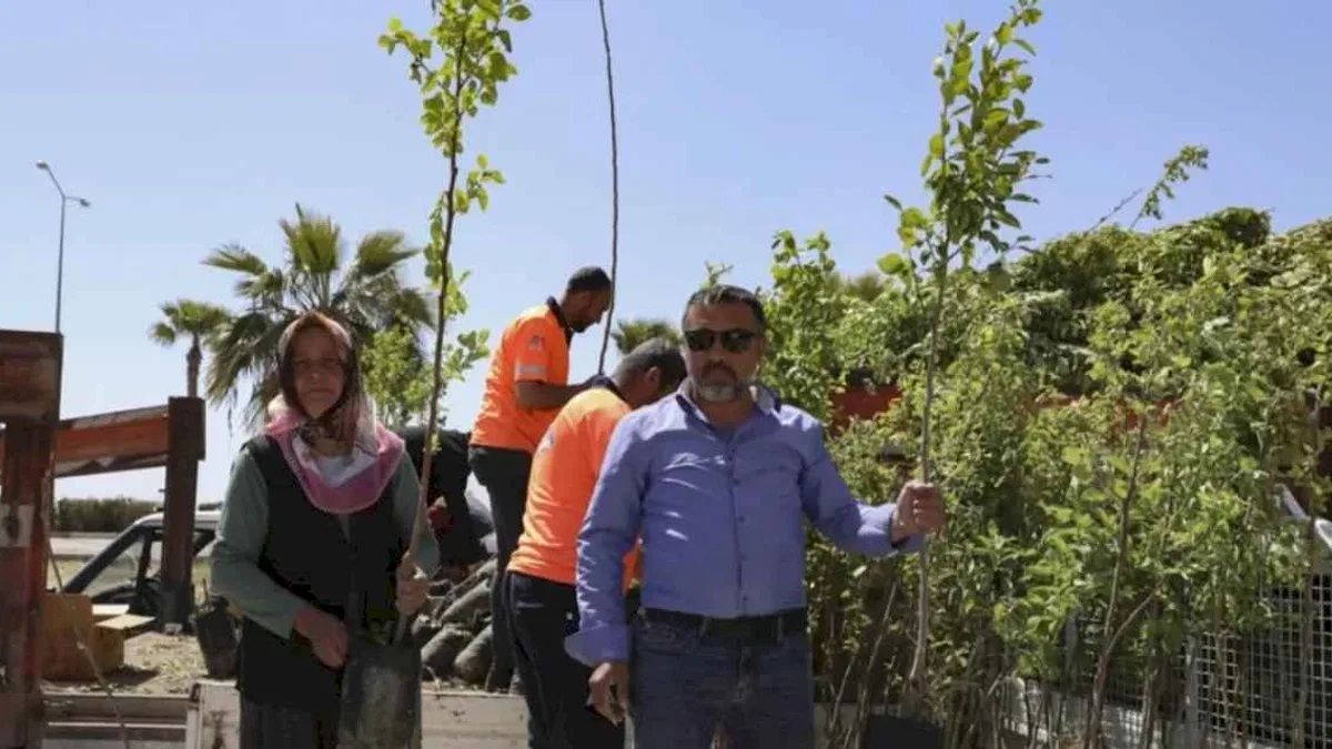 Mersinli çiftçiler Trabzon Hurması üretecek