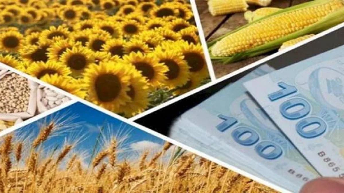 238 milyon TL'lik tarımsal destek hesaplarda