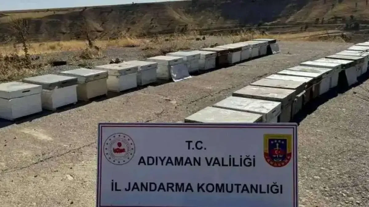 Adıyaman'da arı kovanlarını çalan şahıs yakalandı!