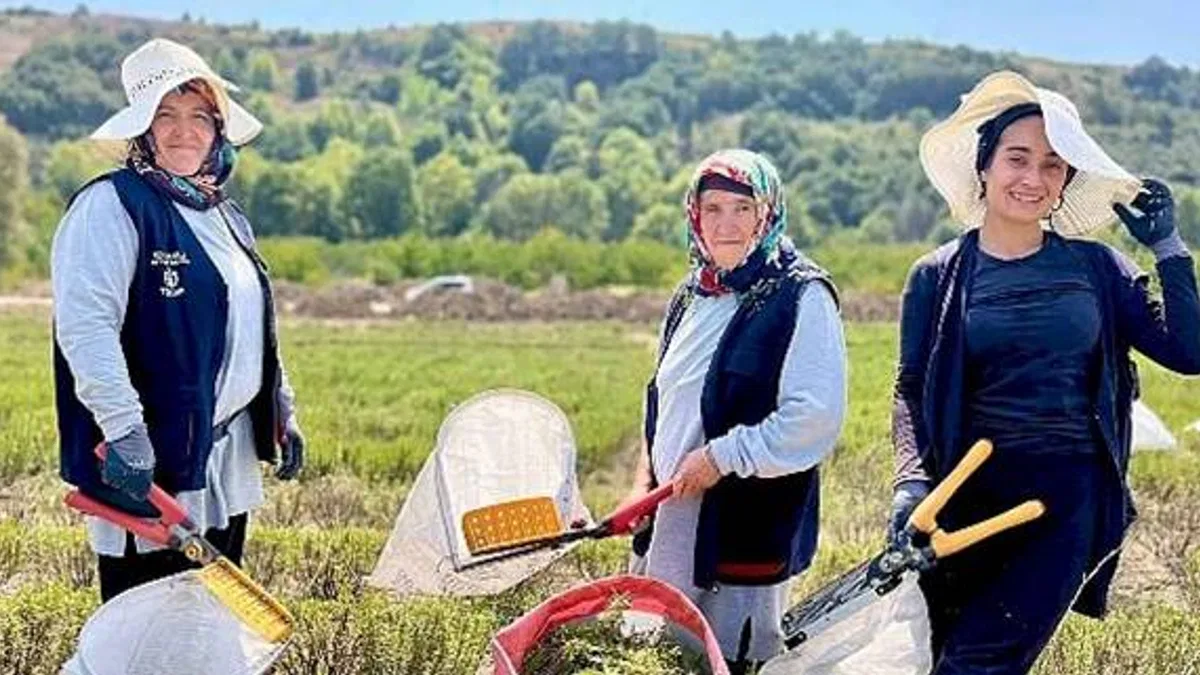 TABİP'te 2024 üretim sezonu tamamlandı