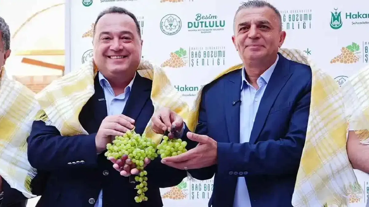 Üzümün başkenti Manisa bağbozumuna hazır