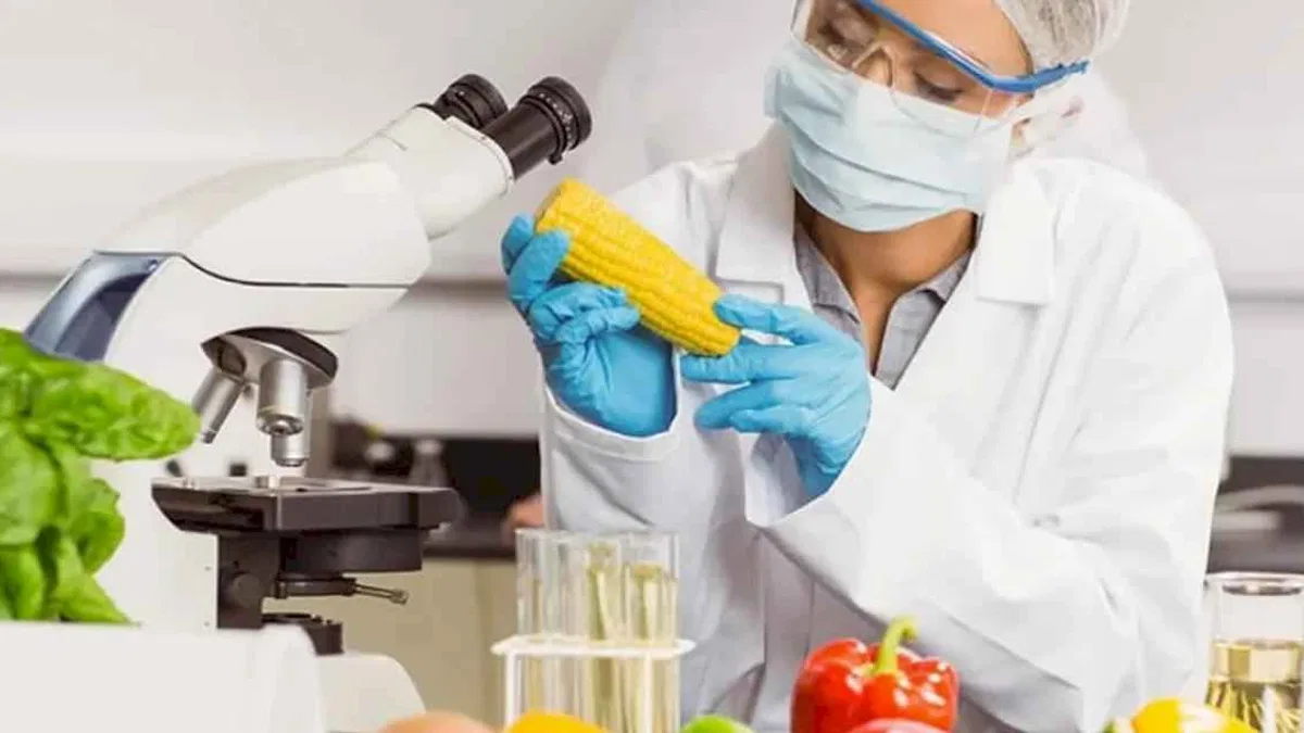 Mikotoksin analizlerinde AB uyumlu yeni kriterler netleşti