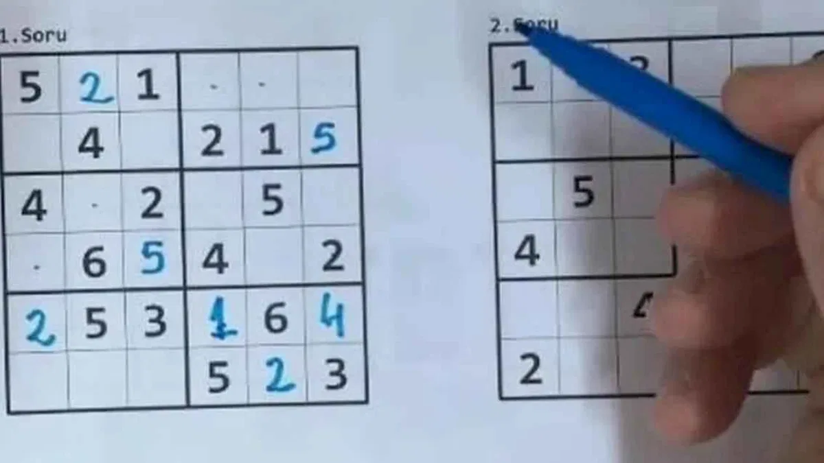 Unutkanlığa karşı bulmaca yerine sudoku çözün!