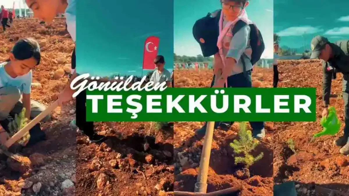Milli Ağaçlandırma Günü'nde çifte rekor!