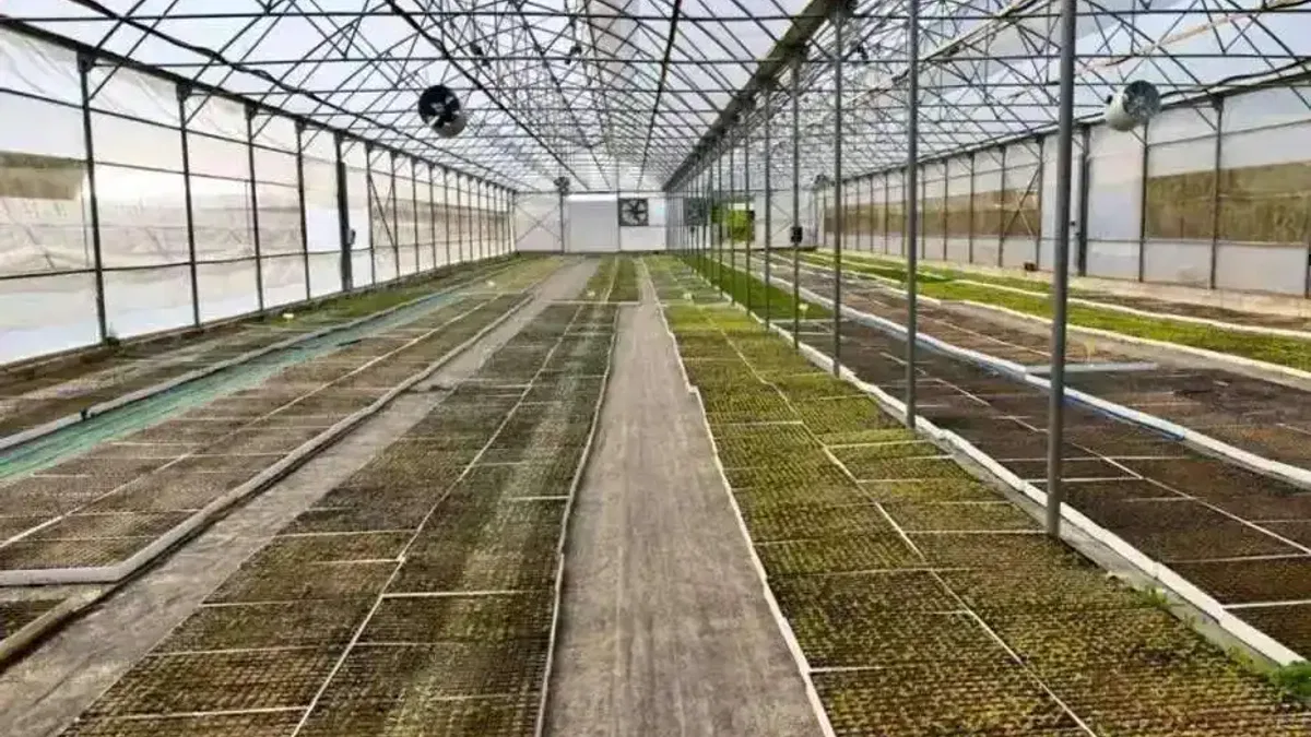Ordu’da çiçeklerle kent estetiği güçleniyor