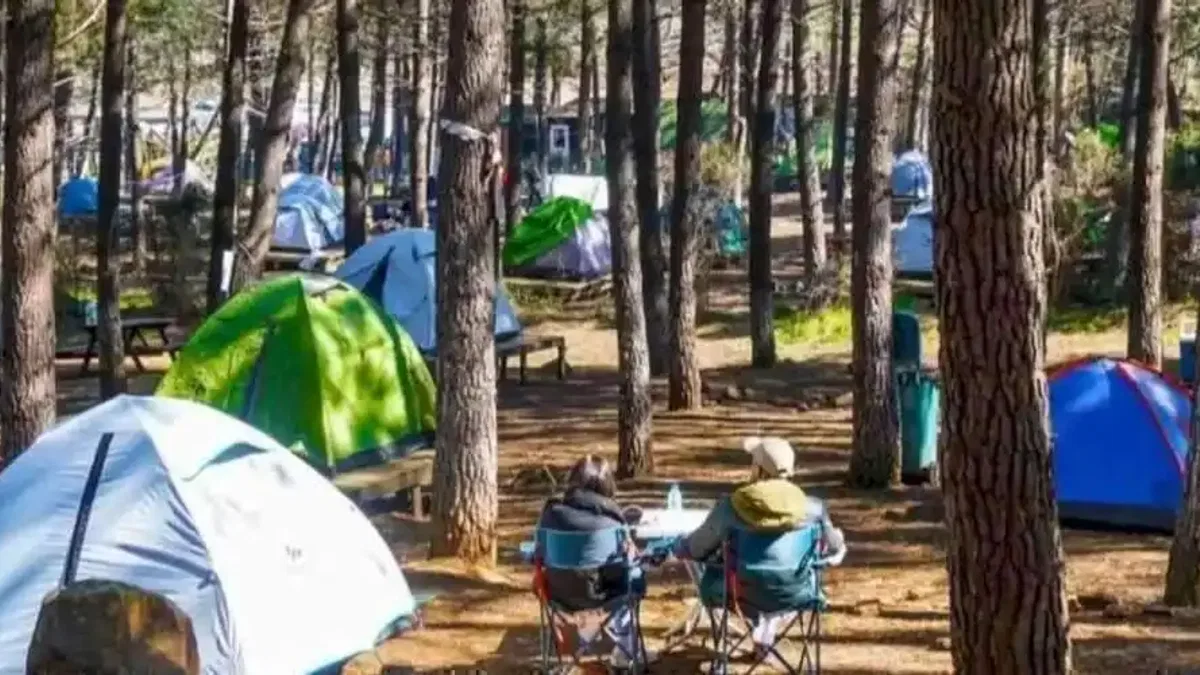 Çınarsuyu Tabiat Parkı yeni yüzüyle ziyaretçilerini ağırlıyor