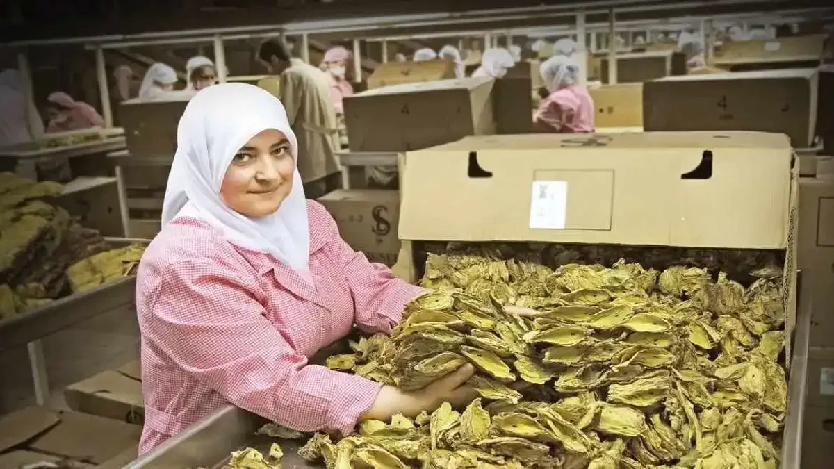 Ege İhracatçı Birlikleri ihracat rekorlarını otomatiğe bağladı