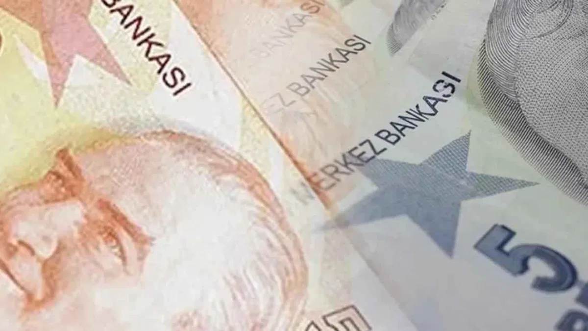 5 ve 50 TL'lik yeni banknotlar piyasada