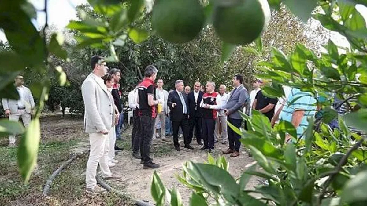 "Akdeniz Meyve Sineği İle Mücadelede Biyoteknik Yöntemlerin Yaygınlaştırılması Projesi"