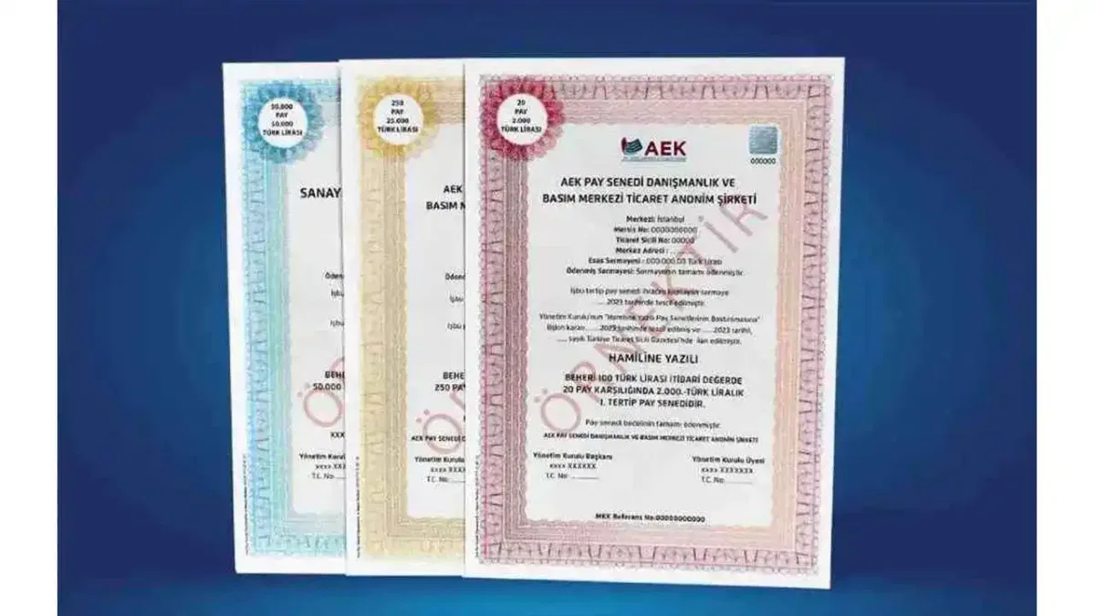 Yerli yatırımcıların pay senedi varlıkları 4 trilyon TL'ye yaklaştı