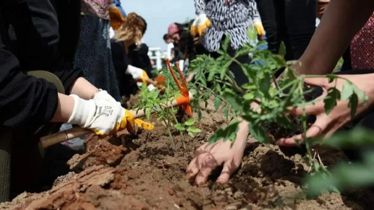 Kadın Kent Bostanı’nda fideler toprakla buluştu