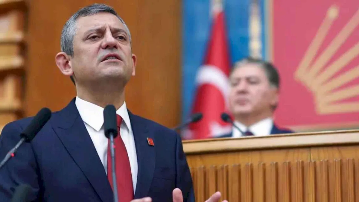 Sahipsiz hayvanlara yönelik düzenlemeye 'Özel' istek