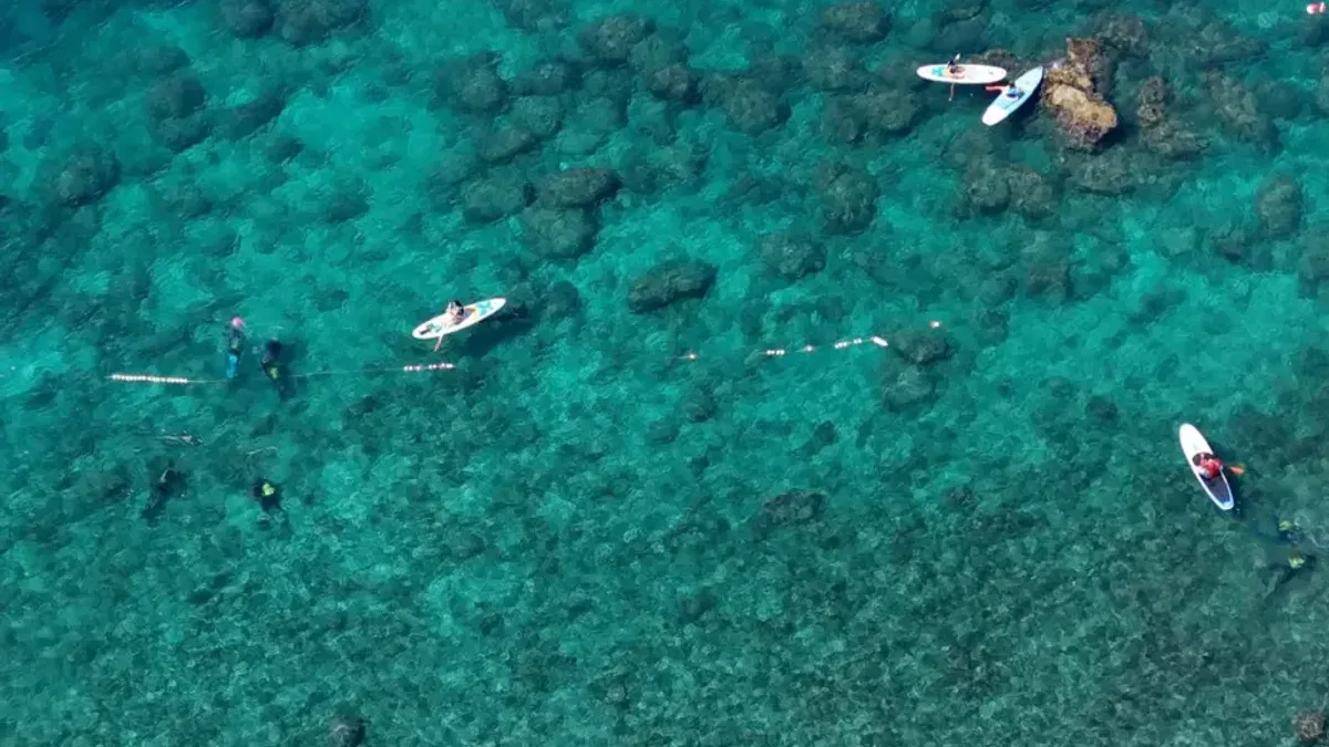 Antalya Muratpaşa’da deniz dibi temizliği