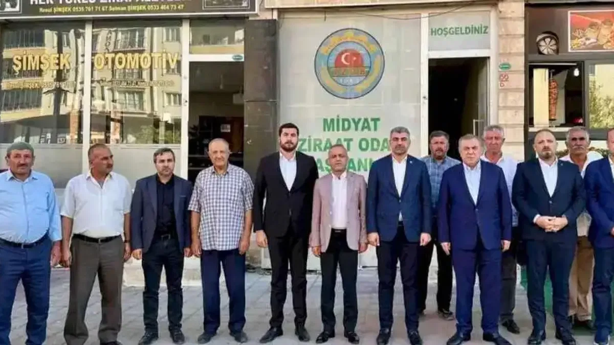 AK Parti Milletvekili Faruk Kılıç, Midyat’ta çalışmaları inceledi
