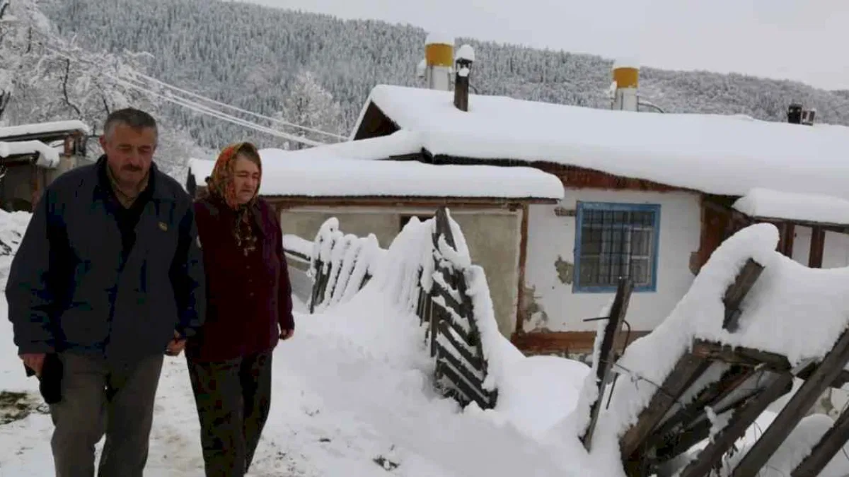 Artvin'de yollar bu kez kanser hastası için açıldı