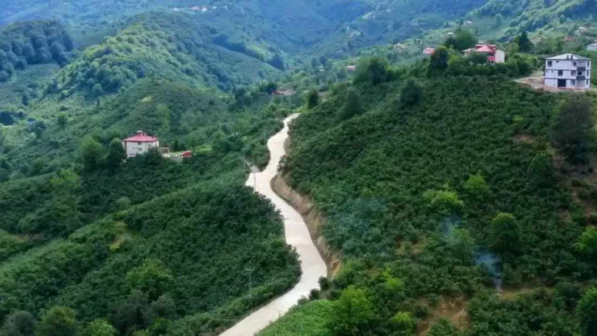 Altınordu Örencik’e konforlu ulaşım