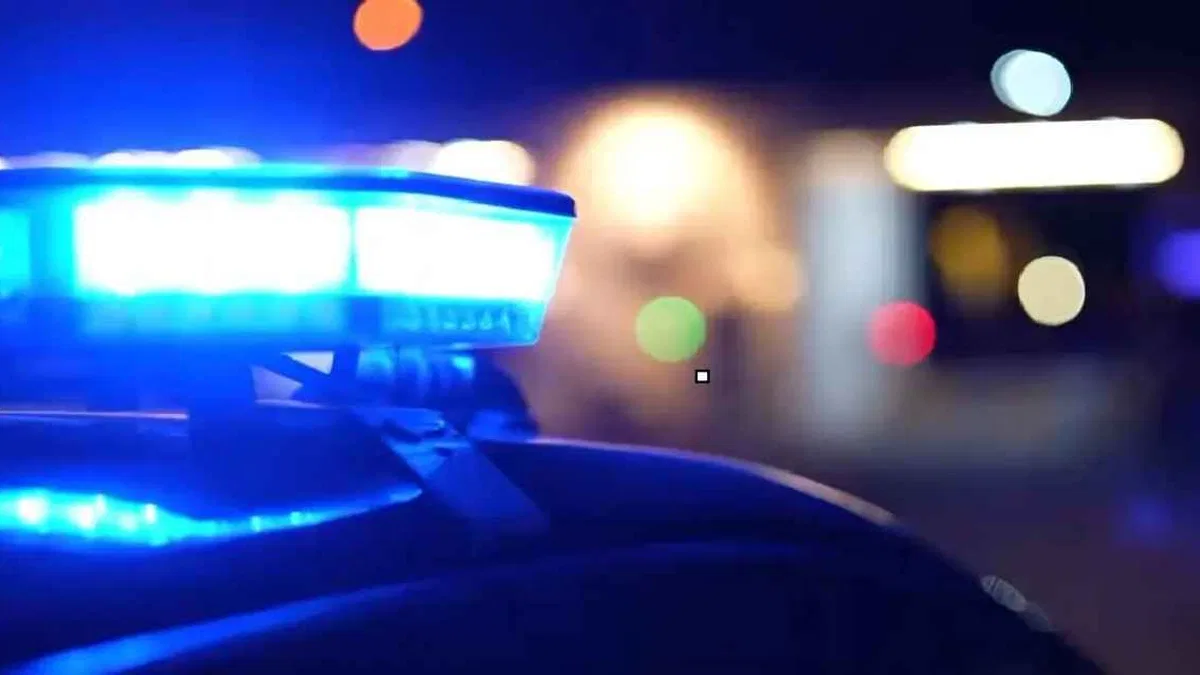 48 ilde yeni nesil suç örgütlerine operasyon: 1008 şüpheliye gözaltı
