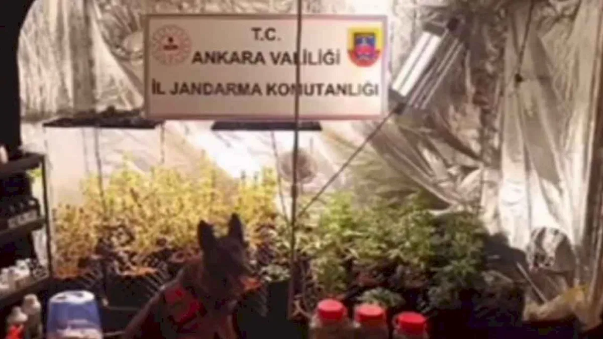 Narkoçelik-13'te 194 gözaltı