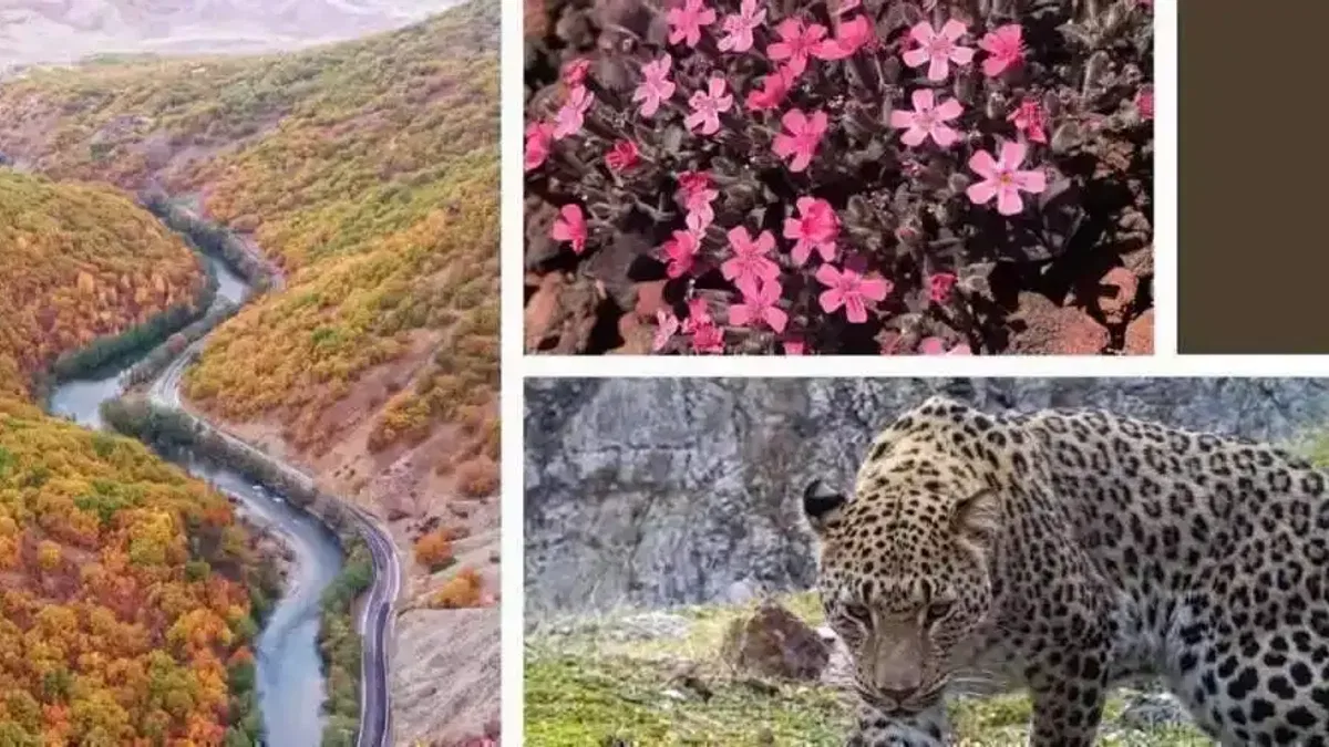 Biyolojik çeşitlilik geleceğe taşınıyor