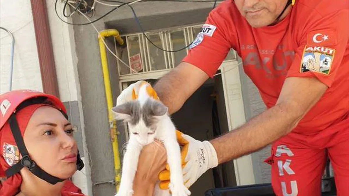 Eskişehir'de pencere pervazında mahsur kalan kedi kurtarıldı