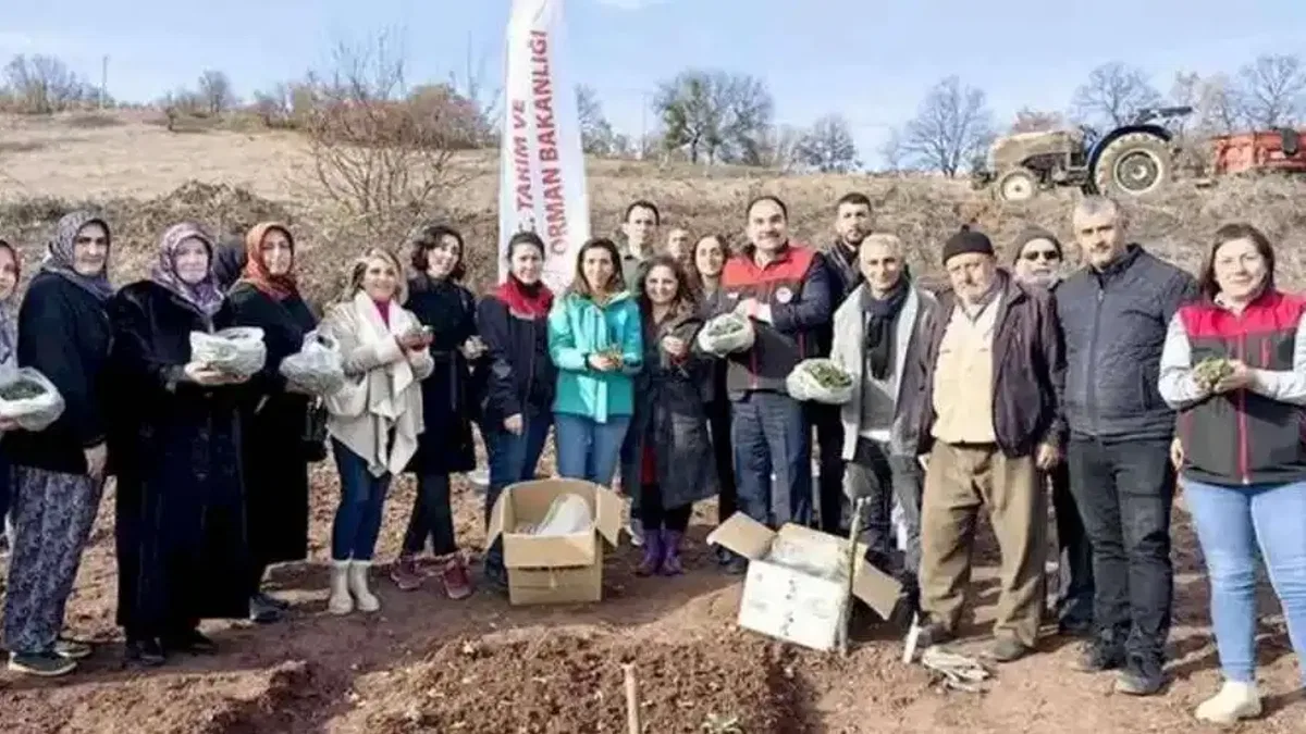 Bursa'da salepe kadın eli değdi
