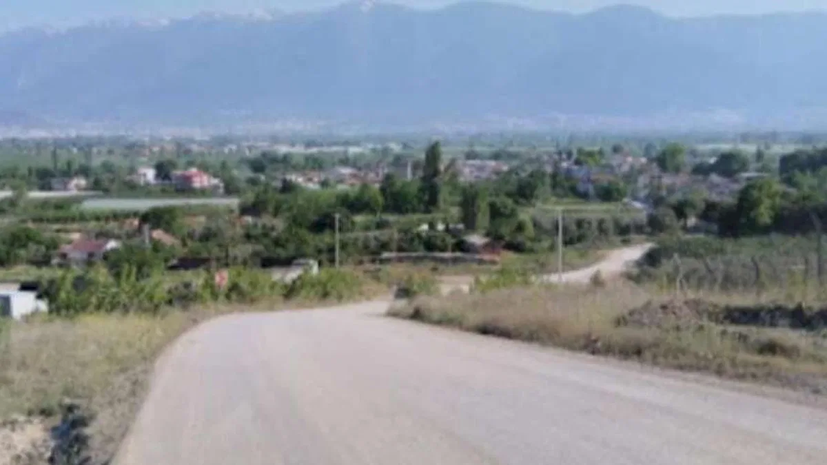 Bursa Gürsu'da bu mahallenin tek derdi yol!