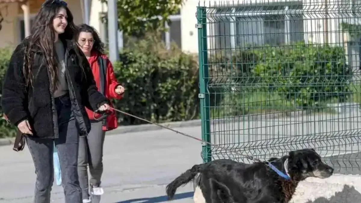 İzmir Menemen’deki yangından kurtarılan 17 hayvana Büyükşehir sahip çıktı