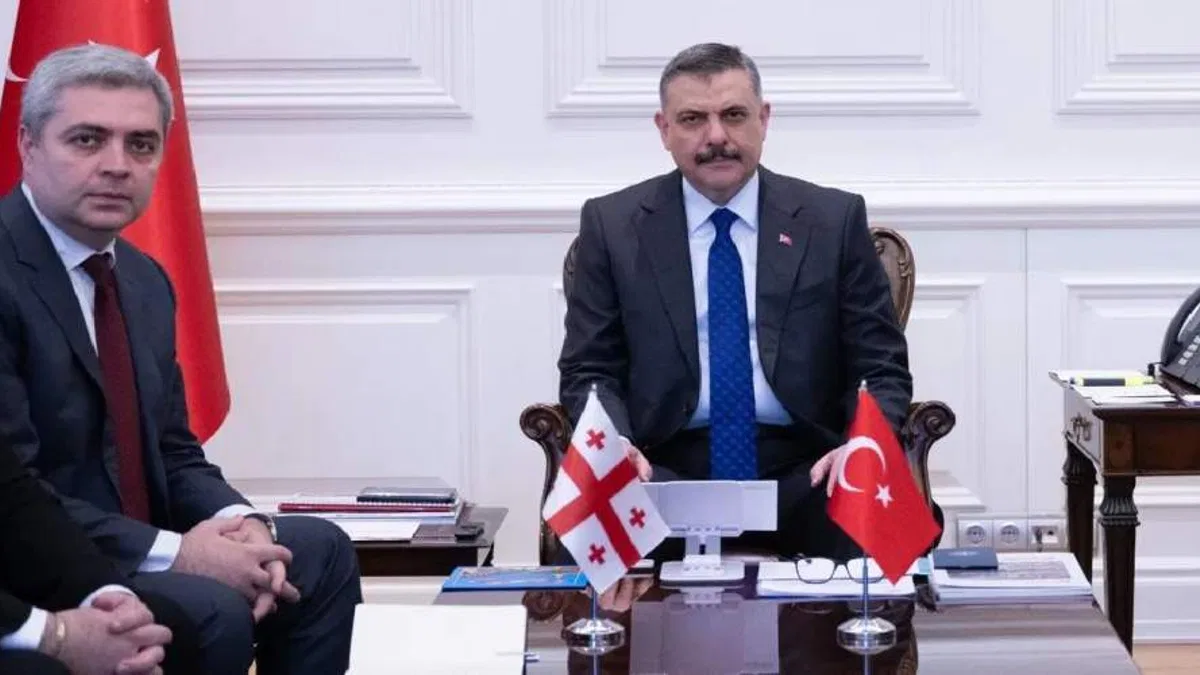 İçişleri Bakanlığı’nda Türkiye-Gürcistan temasları
