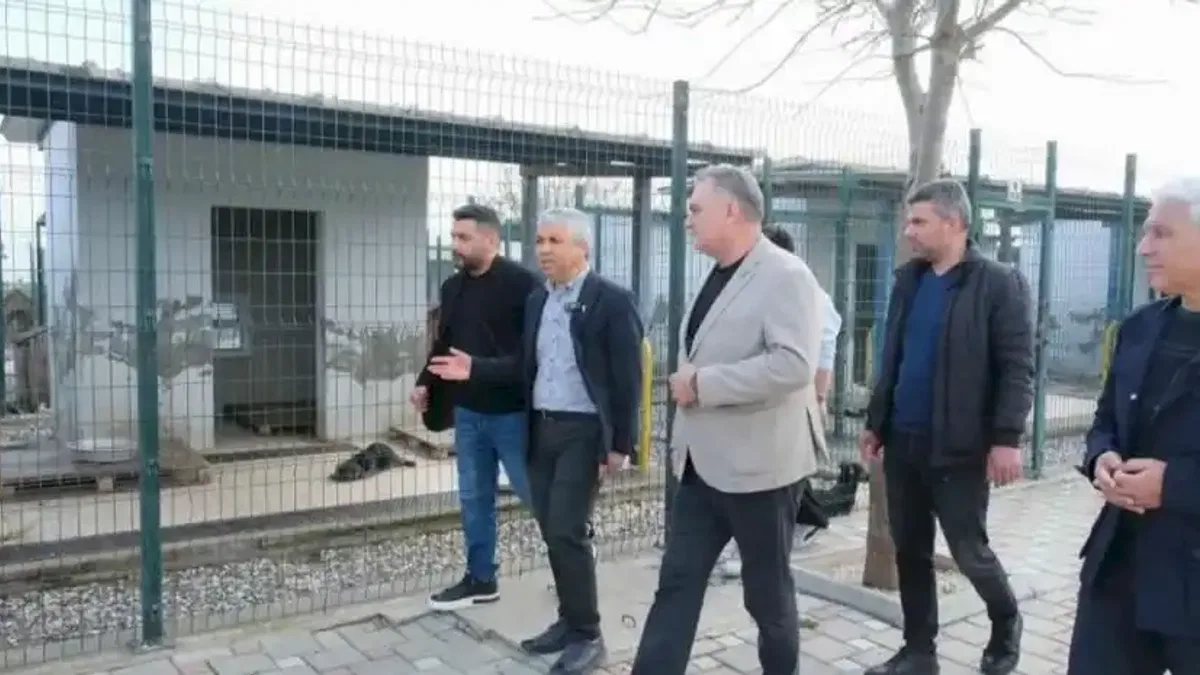 Adanalı veterinerlerden hayvan bakımevine inceleme