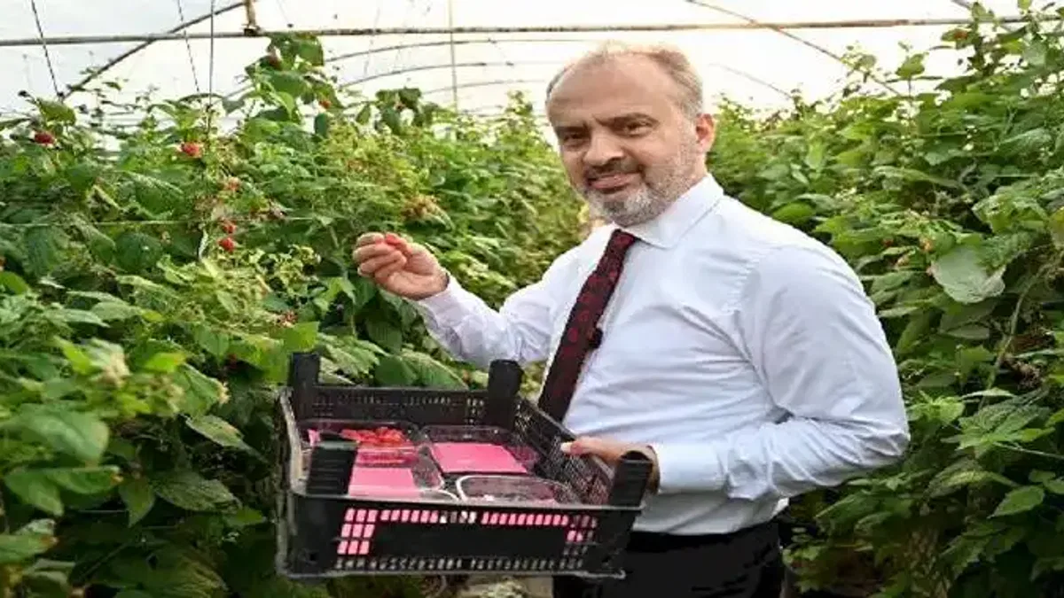 Tarım; Bursa'nın yükselen değeri