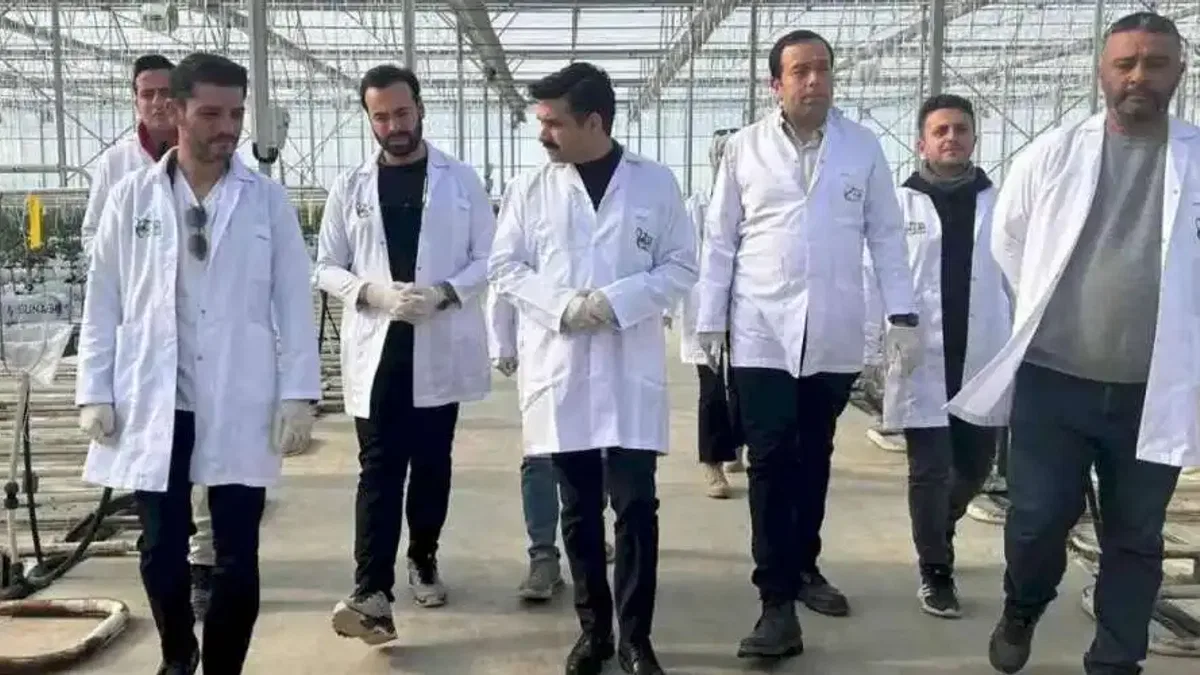 Agrotermal seralarında yeni yılın ilk dikimi gerçekleştirildi